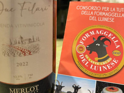 Varese è anche terra di vino: obiettivo diventare quarto polo enologico lombardo!